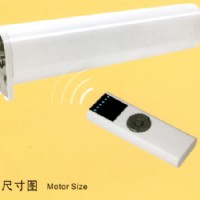 늙C